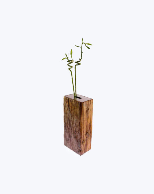 Delray Plants