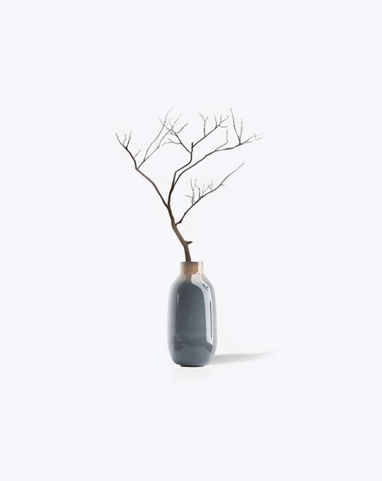 Boxwood Bonsai
