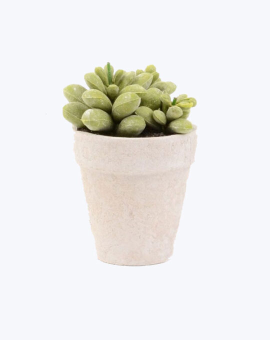 Quart Pot