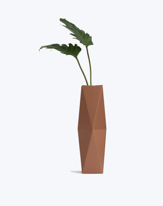 Delray Plants