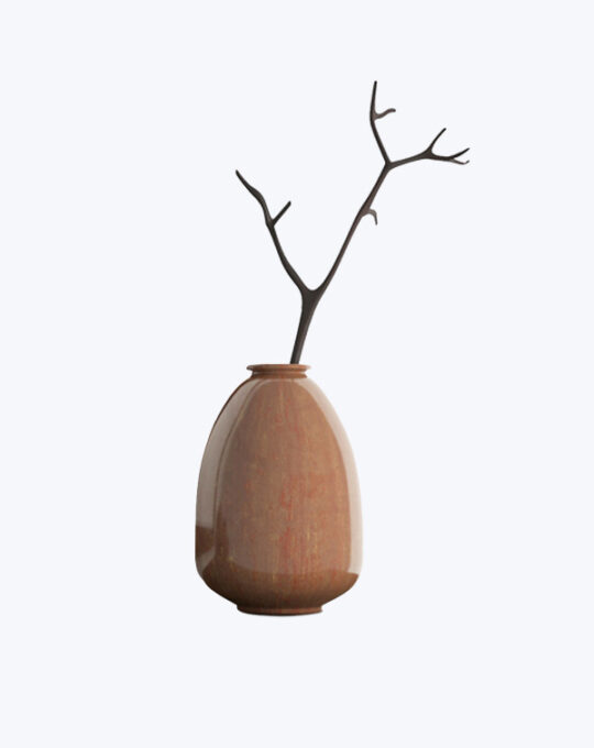 Quince Bonsai